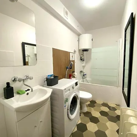 Проживание в семье Cosy